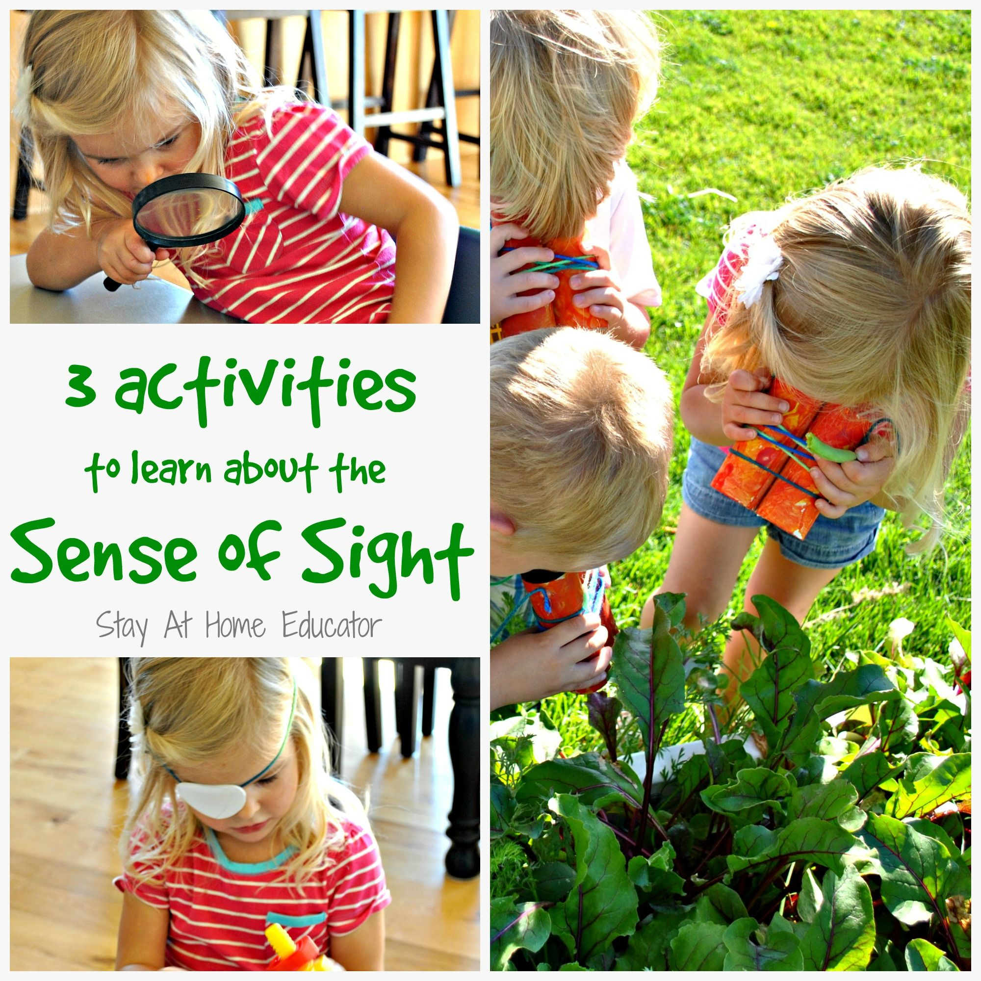 Three Activities To Learn About The Sense Of Sight | Senses