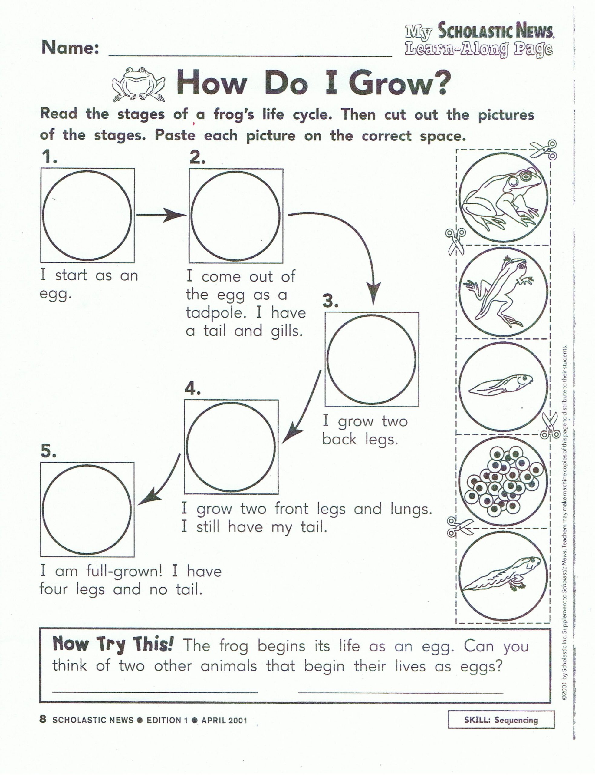 Toad Life Cycle Image Search Results | Life Cycles