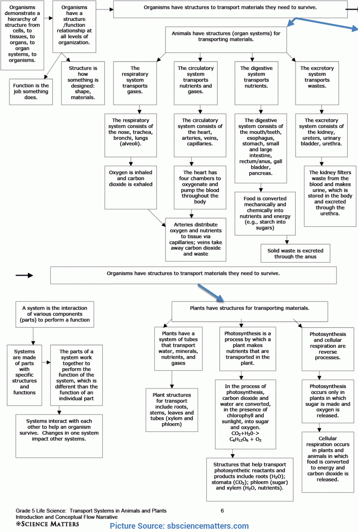 Top Lesson Plan For Life Science 5Th - Life Science - Living