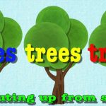 Tree Theme Preschool Activities   Fantastic Fun & Learning