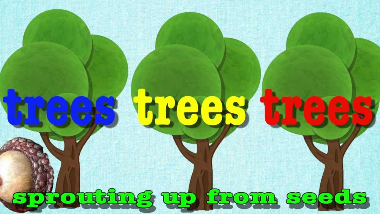Tree Theme Preschool Activities - Fantastic Fun &amp;amp; Learning