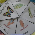 Trending Preschool Lesson Plans Life Cycle Of A Butterfly
