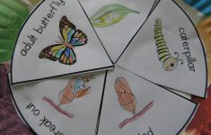 Butterfly Lesson Plans Kindergarten