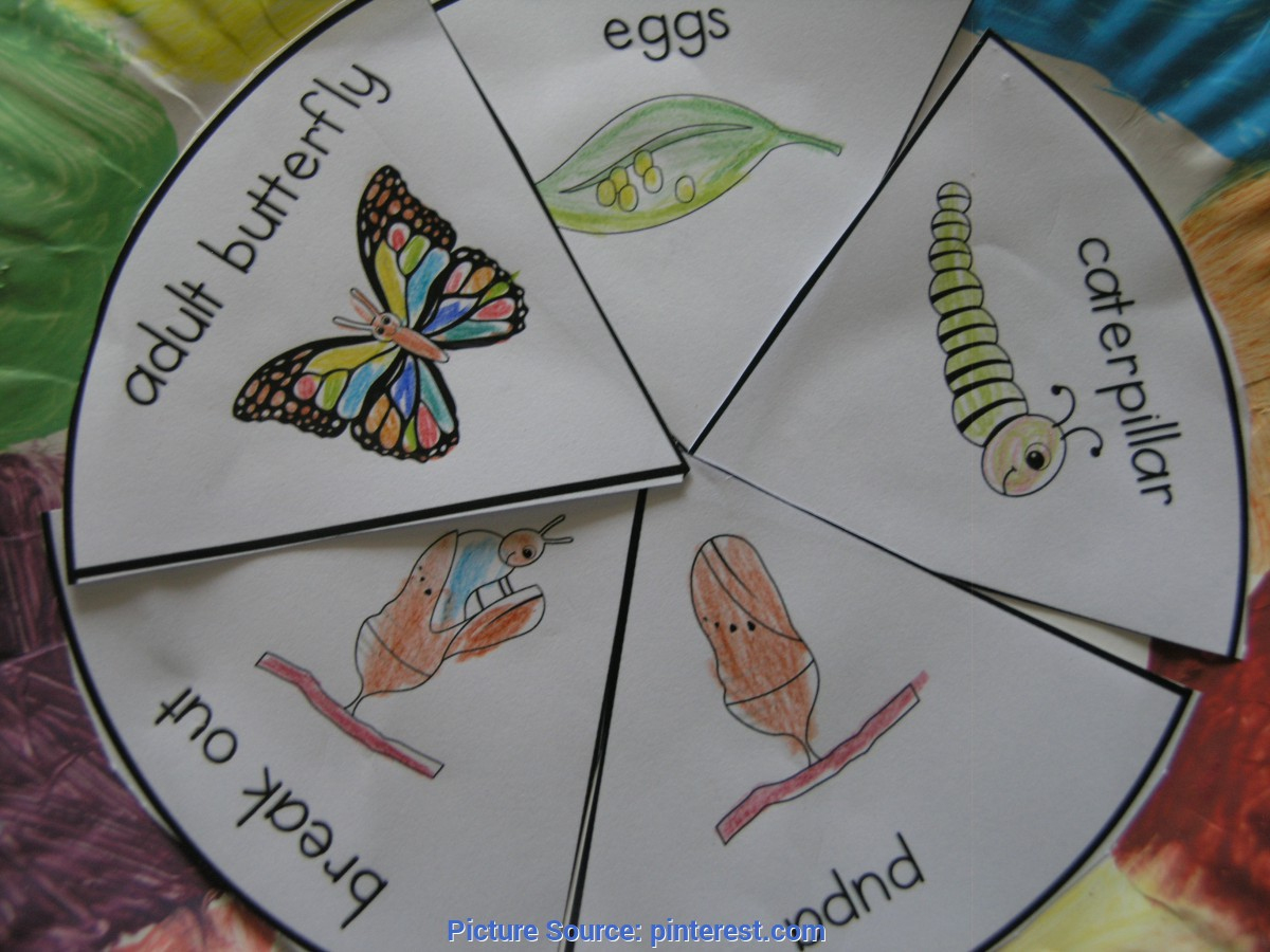 Trending Preschool Lesson Plans Life Cycle Of A Butterfly