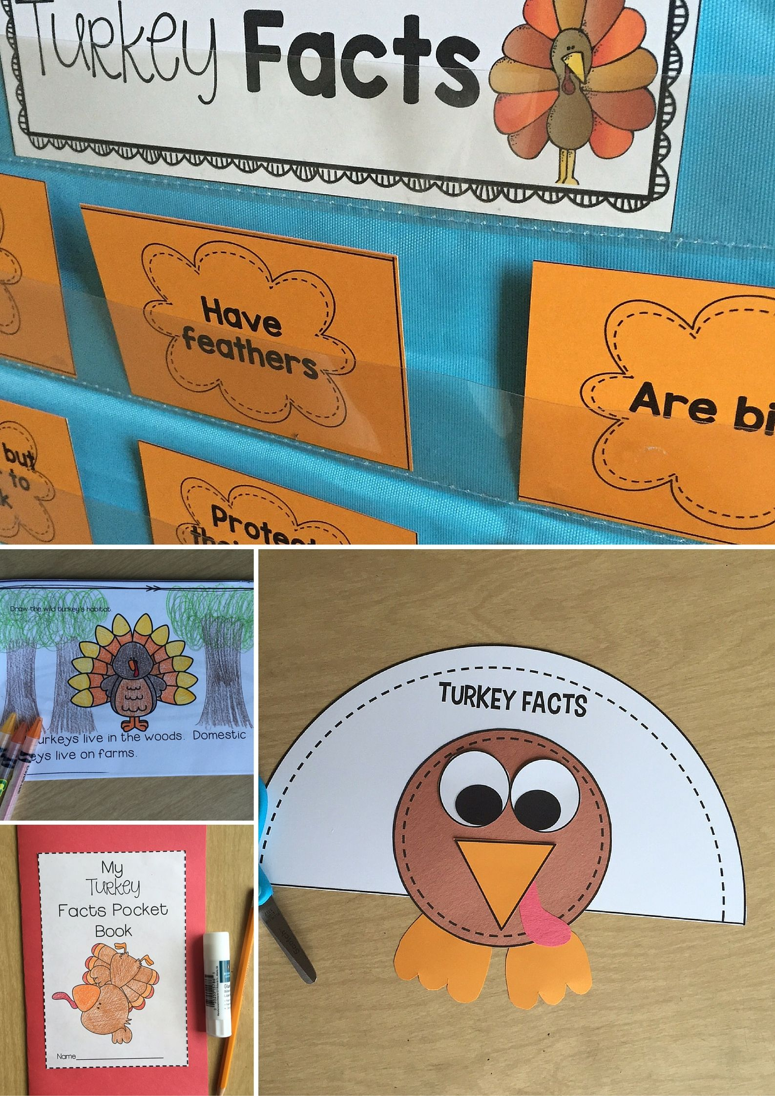 Turkeys Unit: Turkey Life Cycle, Mini-Book, Interactive