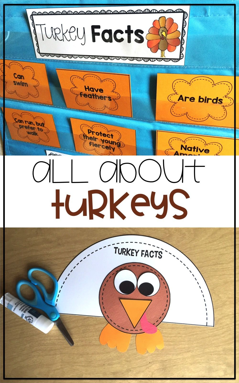 Turkeys Unit: Turkey Life Cycle, Mini-Book, Interactive