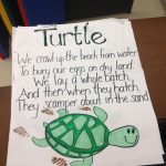 Turtle Poem From Commotion In The Ocean | Ocean Theme