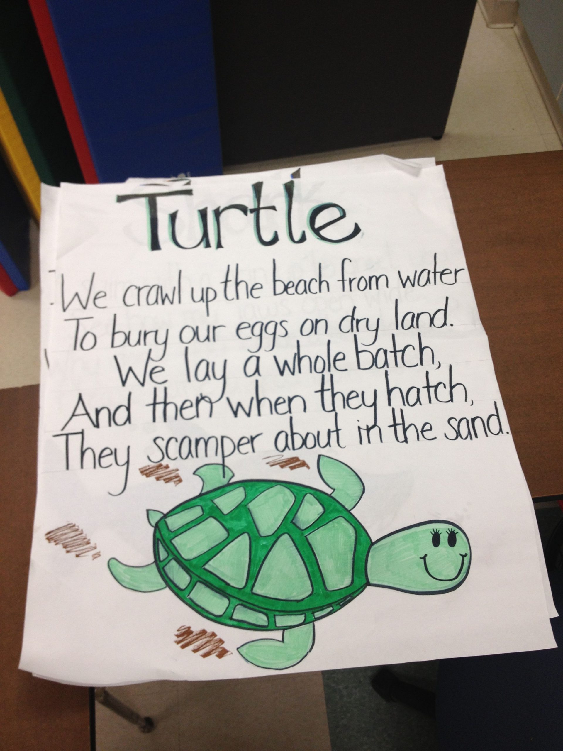 Turtle Poem From Commotion In The Ocean | Ocean Theme