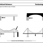 Types Of Bridges | Bridge Engineering, Grade 3 Science, Science