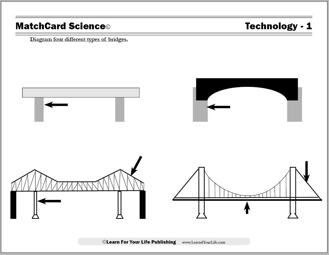 Types Of Bridges | Bridge Engineering, Grade 3 Science, Science