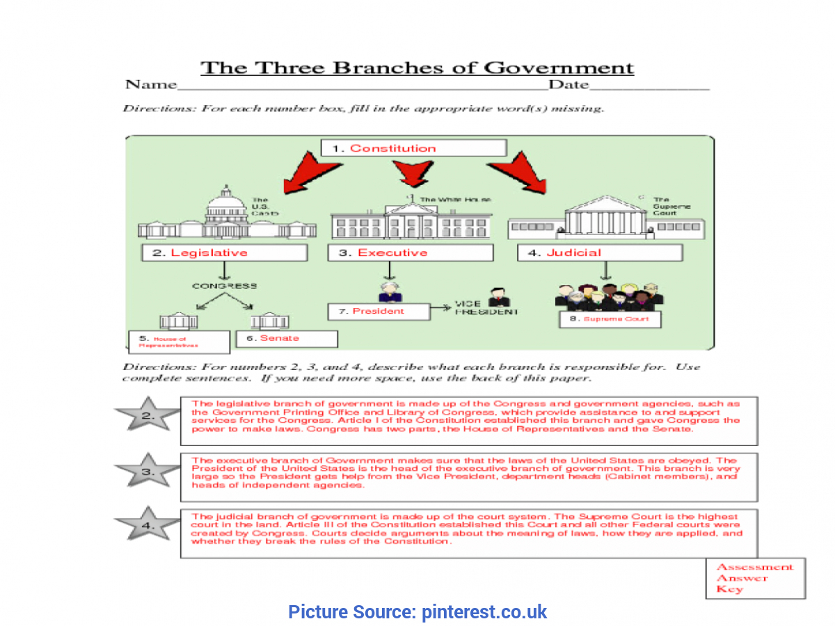 Typical Lesson Plan For Teaching Number 3 The Three Branches