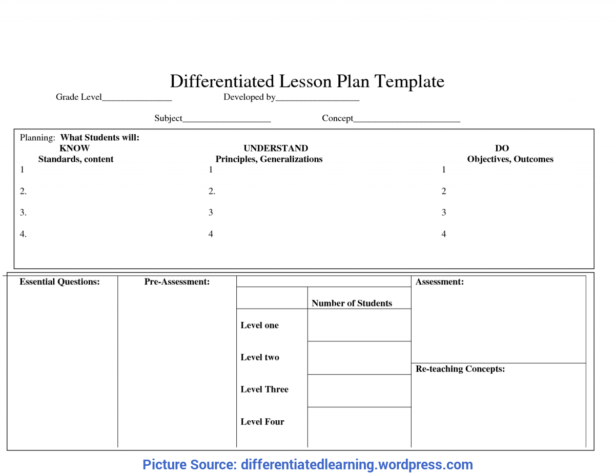 Useful Lesson Plan Template With Differentiated Instruction
