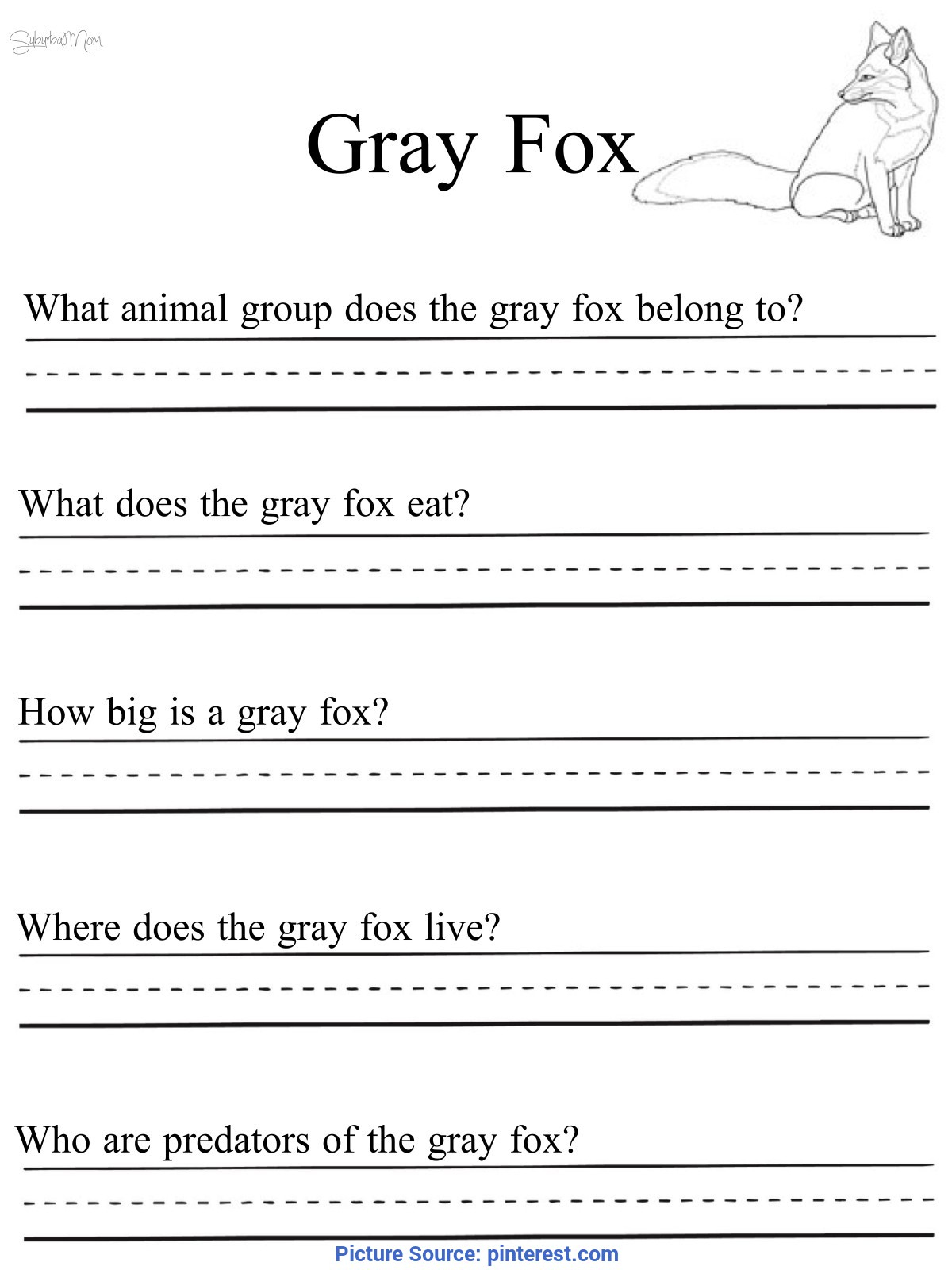 Valuable 2Nd Grade Science Lesson Plans Habitats Fox, Gray