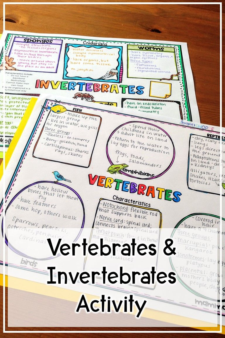 Vertebrates And Invertebrates Reading And Graphic Organizer