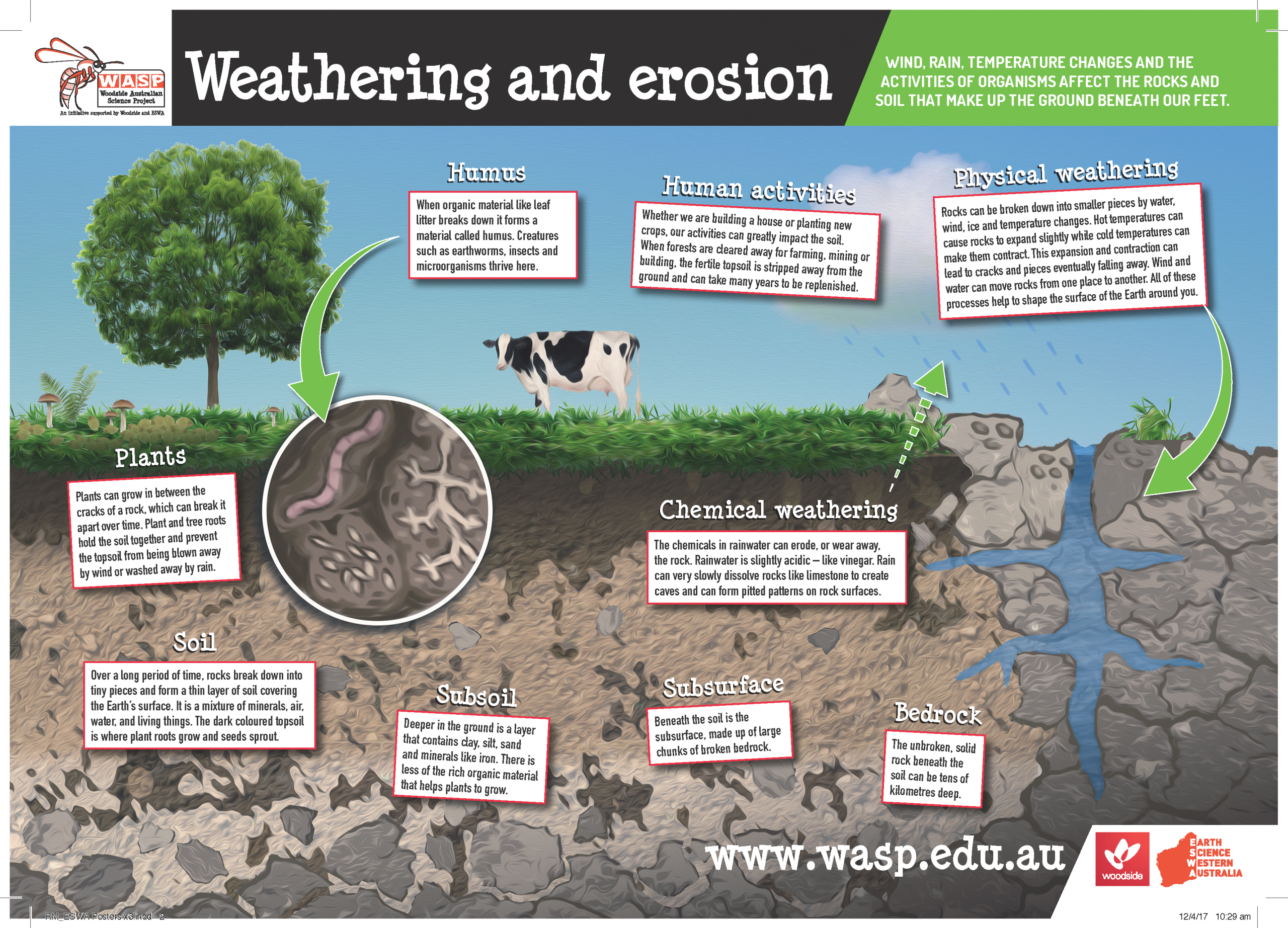 W.a.s.p: Year 4 - Weathering &amp;amp; Erosion