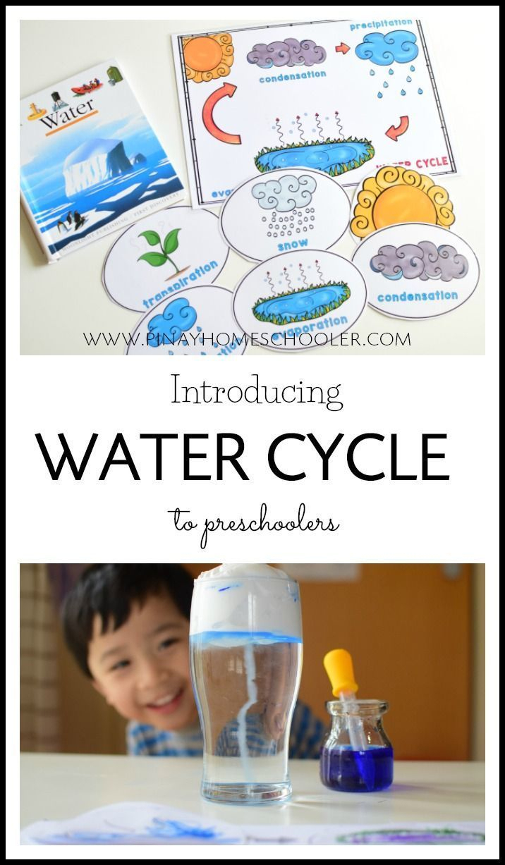 Water Cycle Activities For Preschoolers | Preschool Science