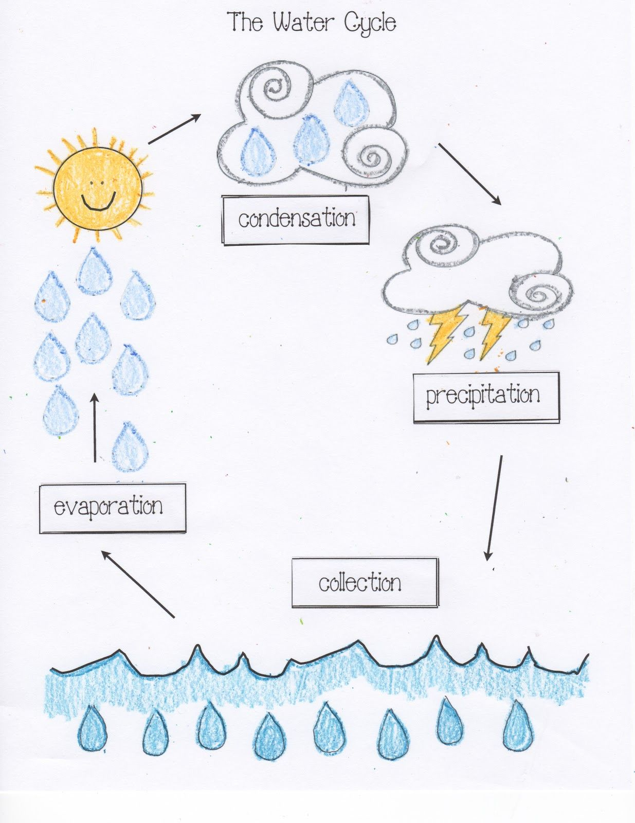 Water Cycle Activities | Water Cycle