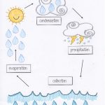 Water Cycle Activities | Water Cycle