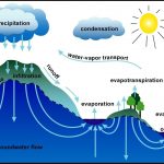 Water Cycle Lesson Plans   Water Quality   Extensionu.edu