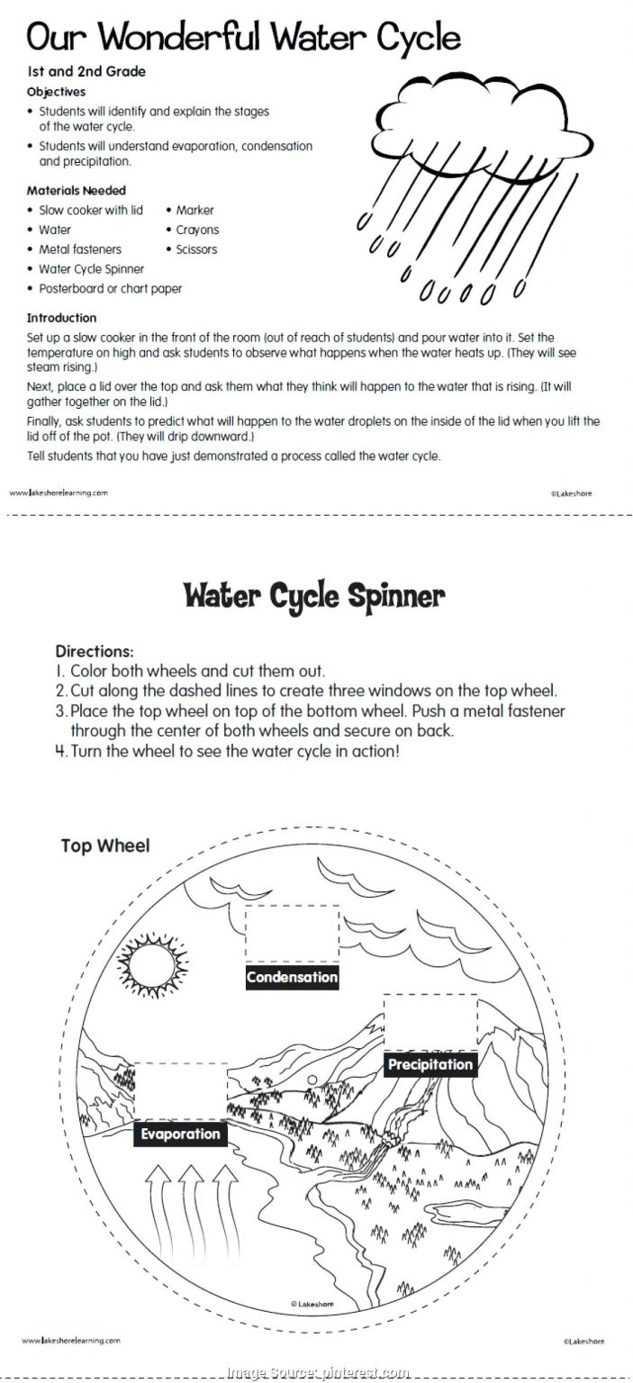 Water Worksheet Grade 3 | Printable Worksheets And | Lesson Plans Learning