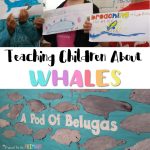 Whales For Kids: An Engaging Classroom Project – Proud To Be