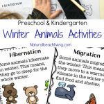 Winter Animals For Preschool Activities   Natural Beach Living