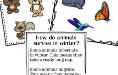 Winter Animals Lesson Plans For Preschool