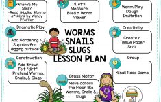 Worm Lesson Plans For Preschool